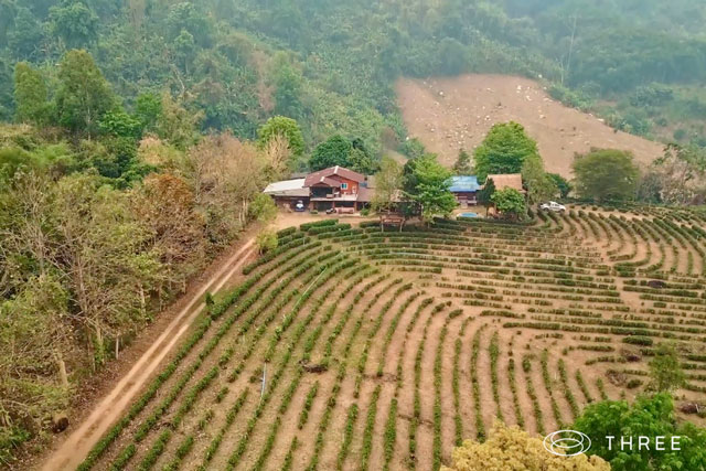 an aerial view of the three medicinal plant research institute in thailand